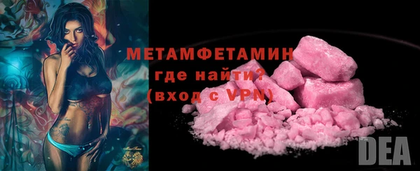 молекула духа Вяземский