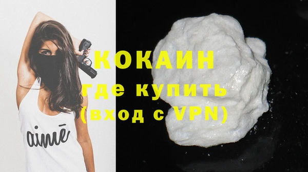 молекула духа Вяземский