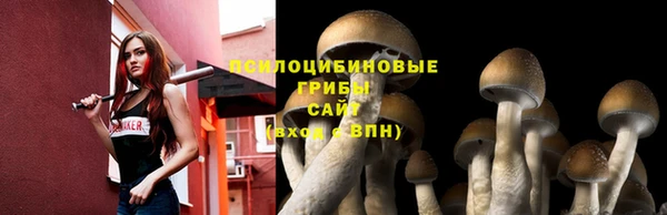 молекула духа Вяземский