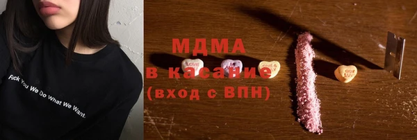 молекула духа Вяземский