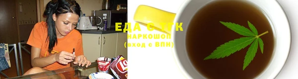 молекула духа Вяземский