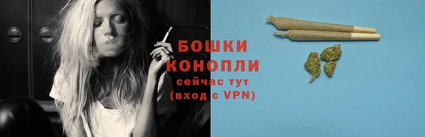 молекула духа Вяземский