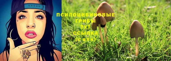 молекула духа Вяземский