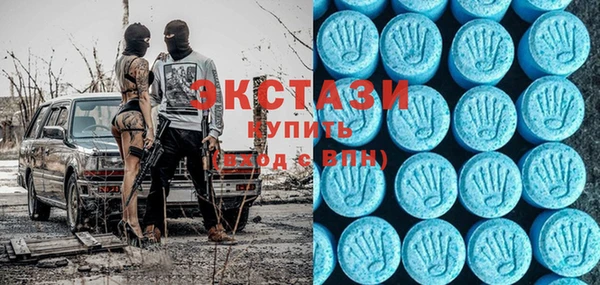 молекула духа Вяземский