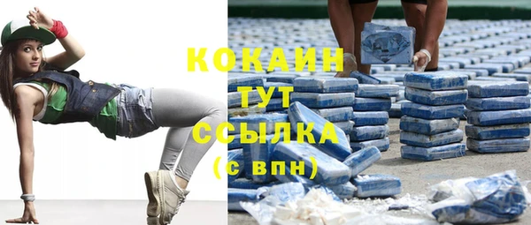 молекула духа Вяземский