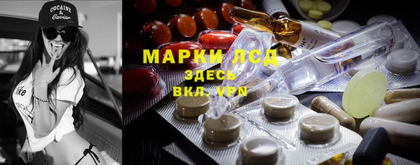 молекула духа Вяземский