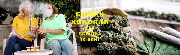 молекула духа Вяземский