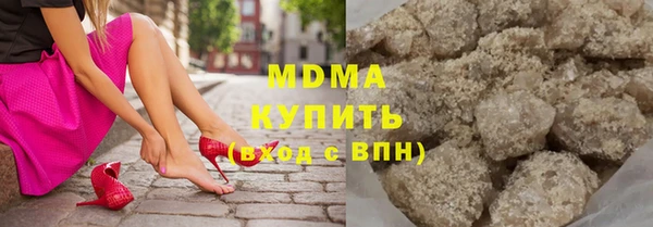 молекула духа Вяземский