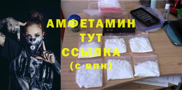 молекула духа Вяземский