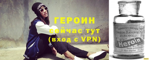 молекула духа Вяземский