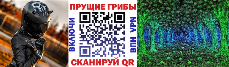 Псилоцибиновые грибы мицелий  Кызыл 