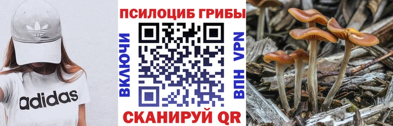 Галлюциногенные грибы мухоморы Кызыл